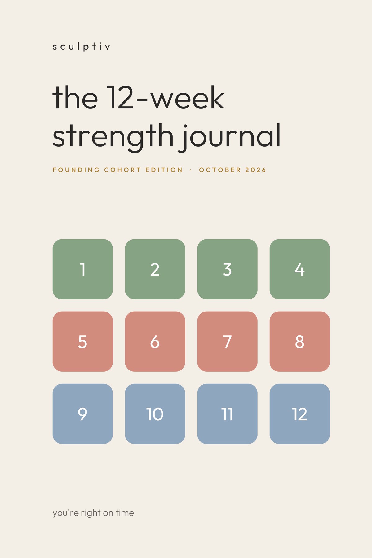 the 12-week strength journal, founding cohort edition. Bone cover with twelve numbered squares in sage, clay and blue.